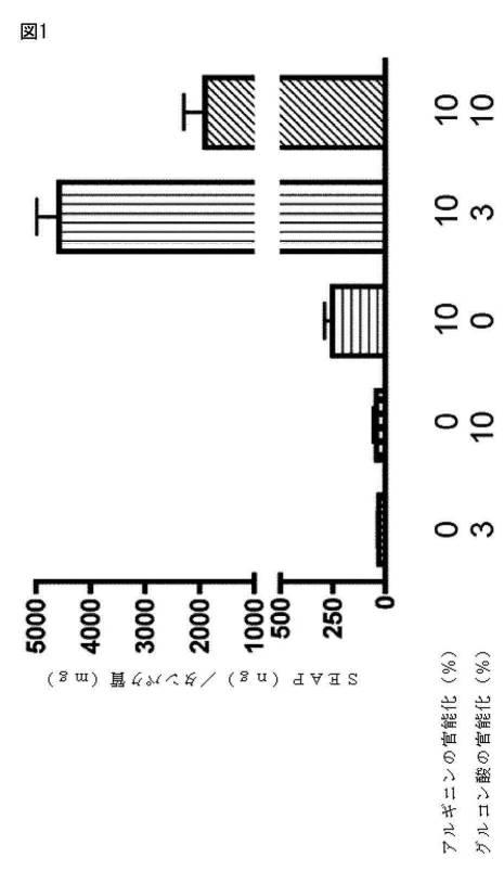 6606490-二重誘導体化キトサンナノ粒子、並びに生体内での遺伝子導入のためのその製造、及び使用方法 図000033