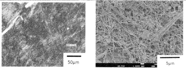 6775160-疎水化セルロース系繊維用の解繊助剤、それを使用する樹脂組成物の製造方法並びに成形体 図000033