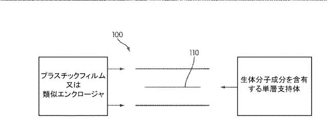 6818174-抗ウイルス及び他の効果を有するウエアラブル光線治療器 図000033