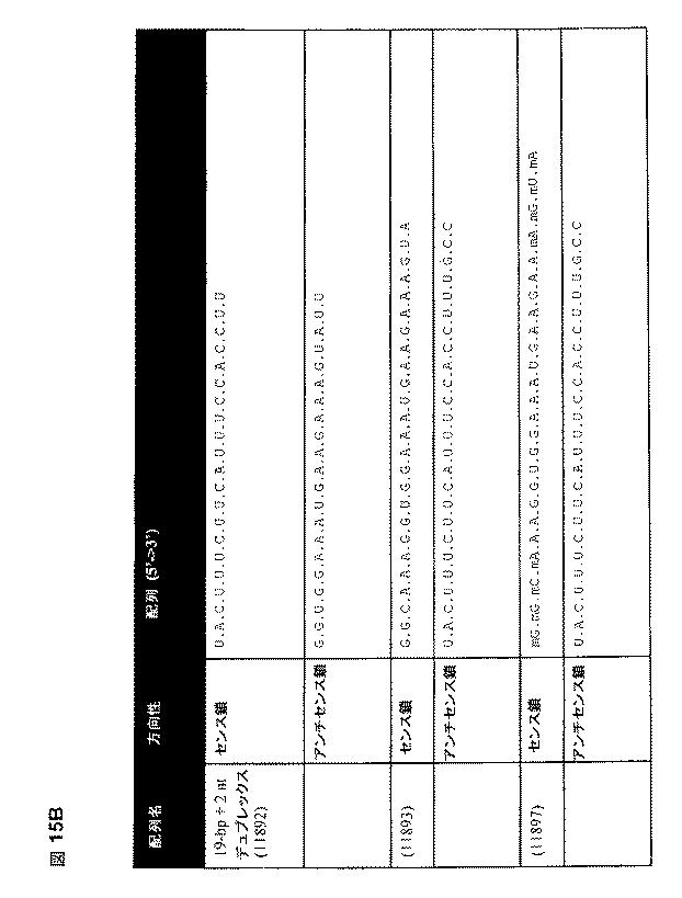 5697993-修飾ＲＮＡｉポリヌクレオチドおよびその使用 図000034