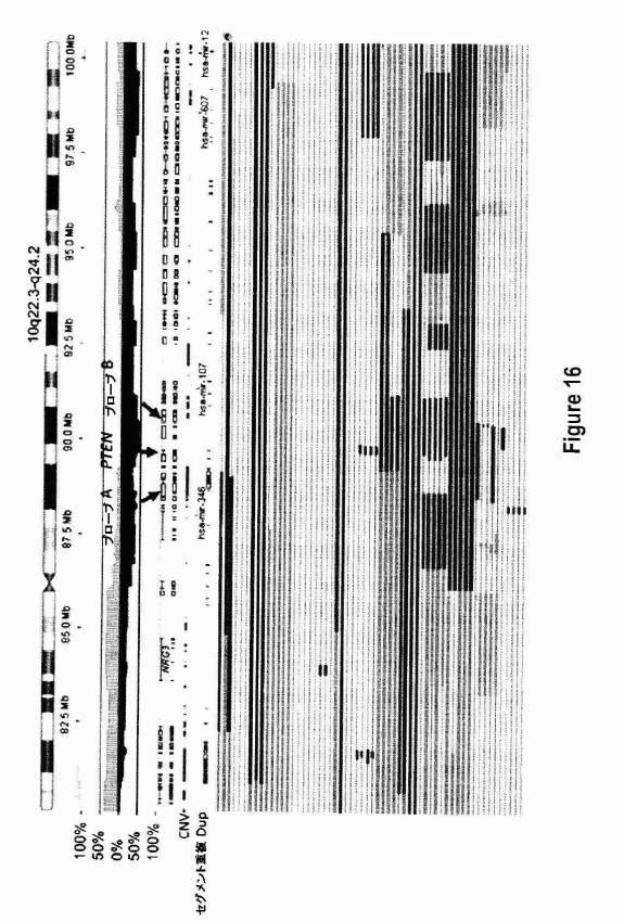 5976550-蛍光ｉｎｓｉｔｕハイブリダイゼーションによる癌抑制遺伝子の欠失を検出するための方法、プローブセットおよびキット 図000034