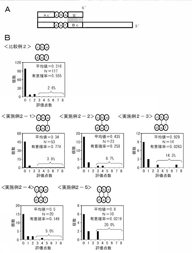 6006814-核酸増幅用プライマーの設計方法、核酸増幅用プライマーの製造方法、核酸増幅用プライマー、プライマーセット、および核酸の増幅方法 図000034