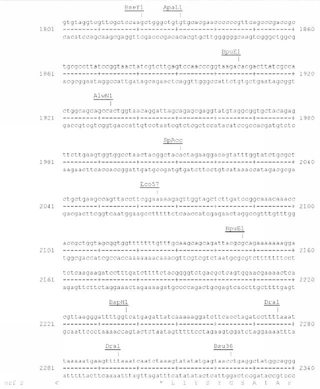 6259766-フラタキシンレベルを増加させる方法および生成物ならびにその使用 図000034