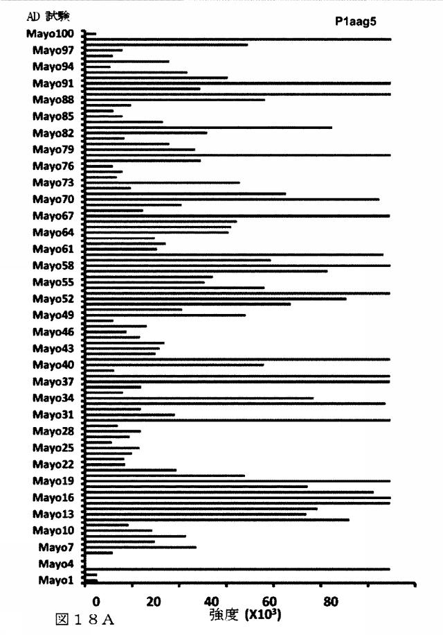 6412798-リガンドライブラリーを用いた診断および処置方法 図000034