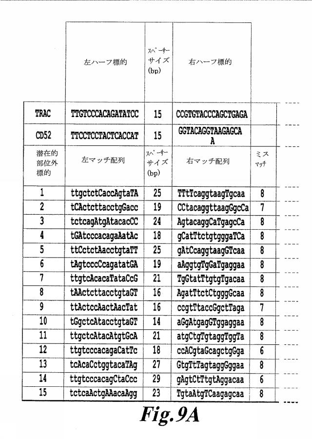 6463672-ＴＣＲアルファ欠損Ｔ細胞を増殖させるためのプレＴアルファまたはその機能性変種の使用 図000034