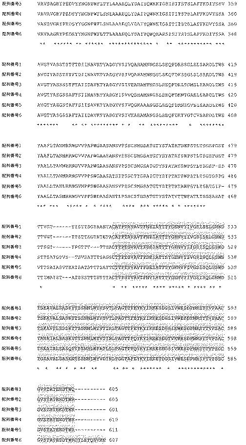 6499081-アスペルギルス・フミガタス（Ａｓｐｅｒｇｉｌｌｕｓｆｕｍｉｇａｔｕｓ）由来のグルコアミラーゼを発現するトリコデルマ・レーシ（Ｔｒｉｃｈｏｄｅｒｍａｒｅｅｓｅｉ）宿主細胞、及びその使用方法 図000034