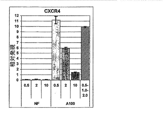 6595041-ＰＤＸ１発現背側及び腹側前腸内胚葉 図000034