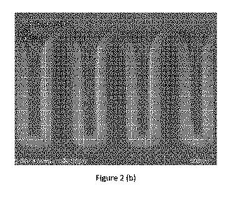 6777754-ケイ素含有膜の堆積のための組成物及びそれを使用した方法 図000034