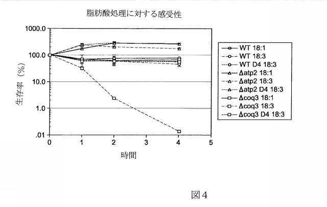 5934102-ＰＵＦＡ誘導体による酸化ストレス障害の緩和 図000035