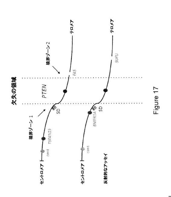 5976550-蛍光ｉｎｓｉｔｕハイブリダイゼーションによる癌抑制遺伝子の欠失を検出するための方法、プローブセットおよびキット 図000035