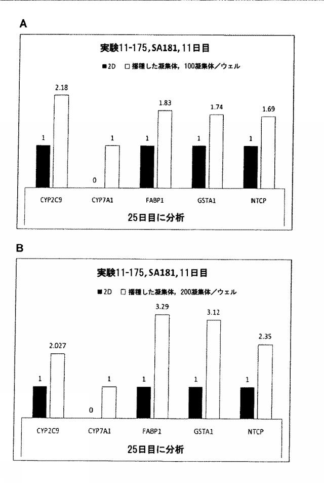 6025715-多能性幹細胞の肝細胞への分化を向上する三次元スキャホールド 図000035