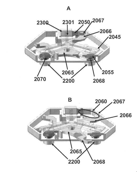 6190395-単一信号で複数被検体を検出する方法及び組成物 図000035