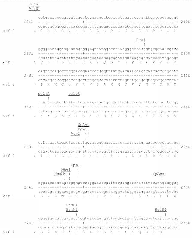 6259766-フラタキシンレベルを増加させる方法および生成物ならびにその使用 図000035