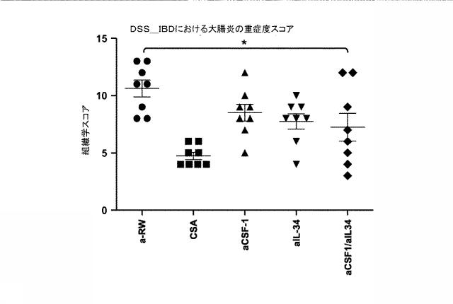 6416630-ＣＳＦ１Ｒ阻害剤を用いるための組成物及び方法 図000035