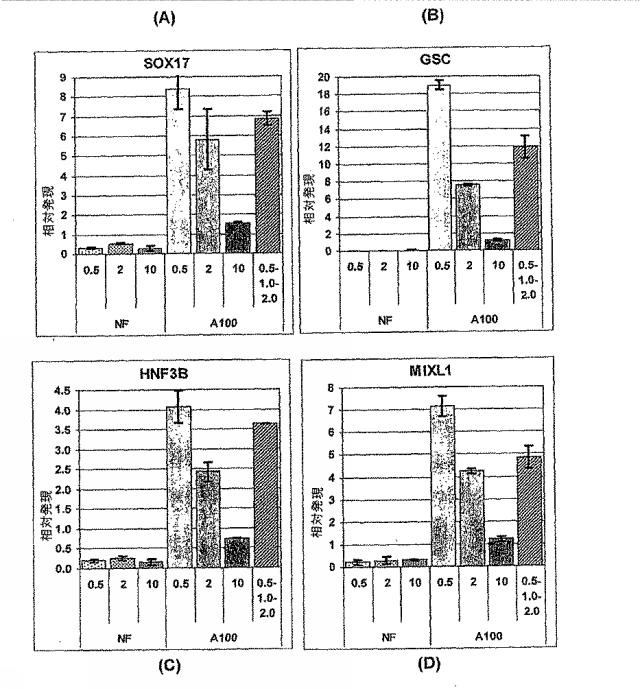 6595041-ＰＤＸ１発現背側及び腹側前腸内胚葉 図000035