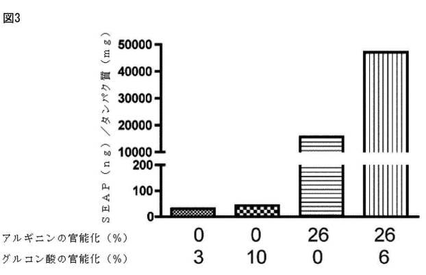 6606490-二重誘導体化キトサンナノ粒子、並びに生体内での遺伝子導入のためのその製造、及び使用方法 図000035