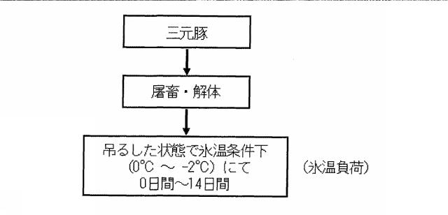 6670154-生鮮食材の抗酸化能増強方法及びその高鮮度流通方法 図000035