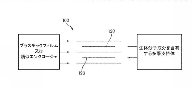 6818174-抗ウイルス及び他の効果を有するウエアラブル光線治療器 図000035