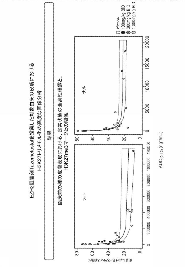 6829684-癌を処置する方法 図000035