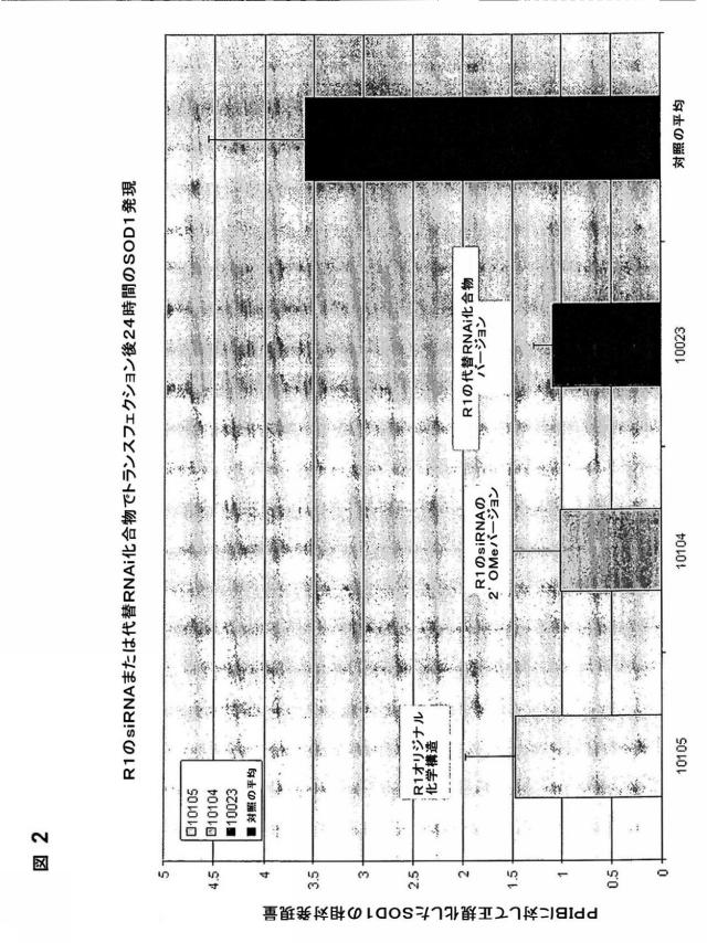 5697993-修飾ＲＮＡｉポリヌクレオチドおよびその使用 図000036