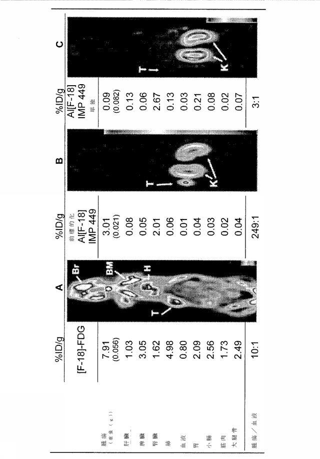 5789821-タンパク質、ペプチドおよび他の分子の改善されたＦ−１８標識化のための方法および組成物 図000036