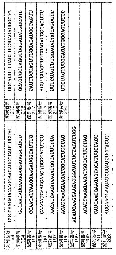 5879374-筋障害を相殺するための手段と方法 図000036