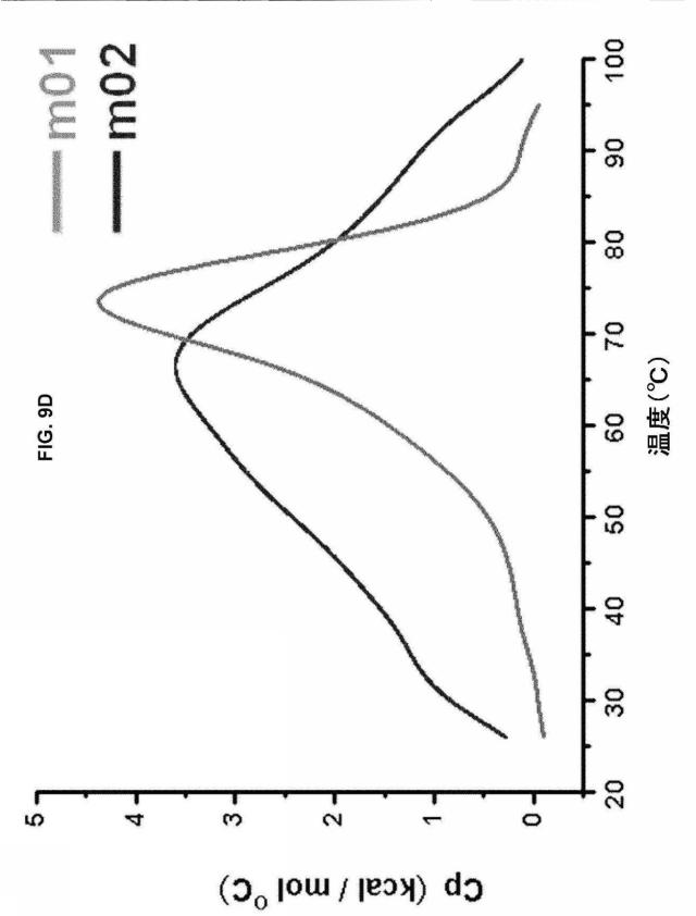 5889533-改変された抗体定常ドメイン分子 図000036