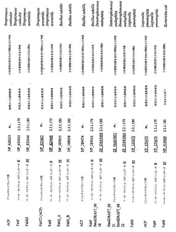 5961662-脂肪酸およびその誘導体の生産 図000036