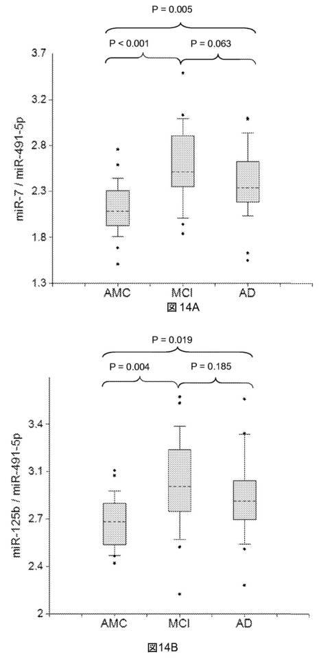 6021893-軽度認知機能障害（ＭＣＩ）およびアルツハイマー病（ＡＤ）の早期検出ならびにモニタリングのために体液からのｍｉＲＮＡを使用する方法 図000036