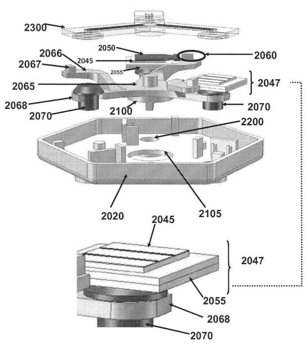 6190395-単一信号で複数被検体を検出する方法及び組成物 図000036