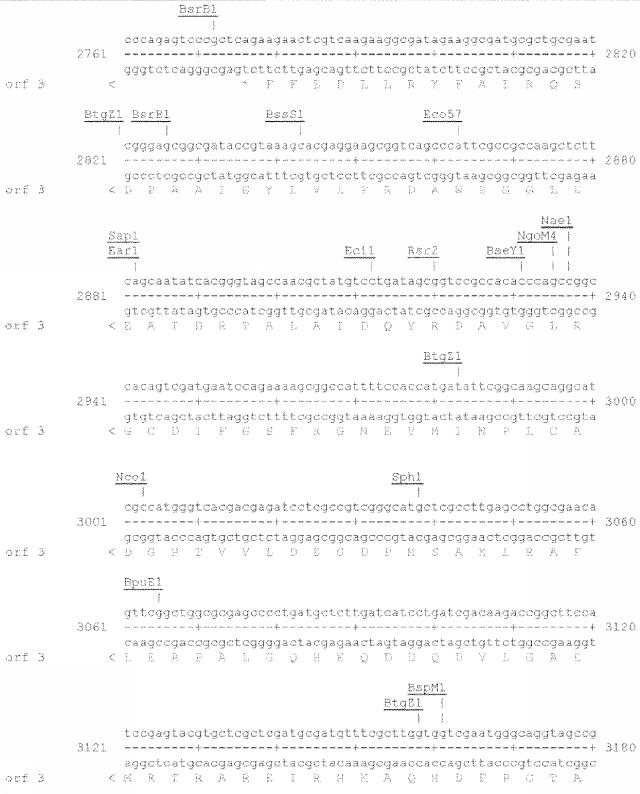 6259766-フラタキシンレベルを増加させる方法および生成物ならびにその使用 図000036