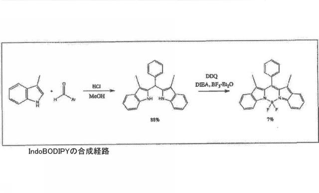 6339561-光起電力のためのジピリン系材料、極性媒体中で対称性破壊性分子内電荷移動が可能な化合物およびこれを含む有機光起電力デバイス 図000036