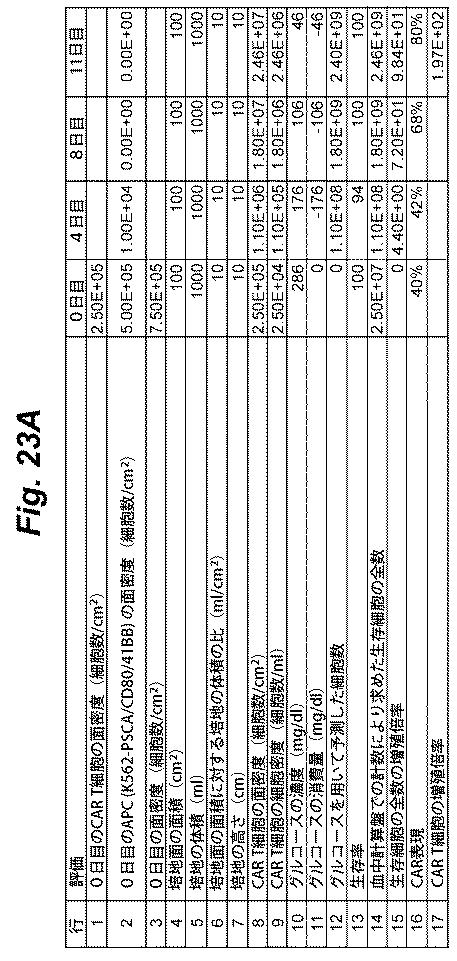 6386447-養子細胞療法のための改良された細胞培養法 図000036