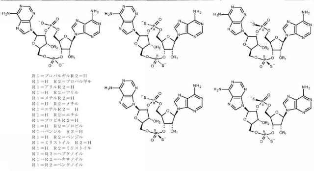 6453855-「インターフェロン遺伝子の刺激因子」依存性シグナル伝達を活性化するための組成物及び方法 図000036
