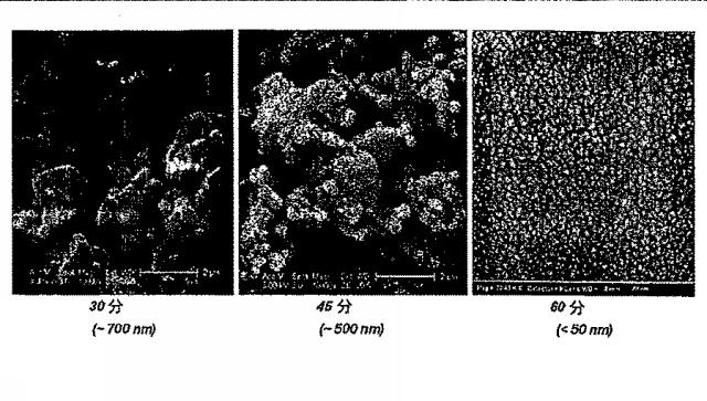 6651489-ナノ粒子状の形態における生物学的に活性な化合物の調製のための方法 図000036