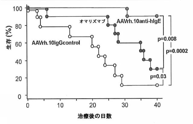 6878301-アレルゲンに対する反応を予防するための遺伝子治療 図000036