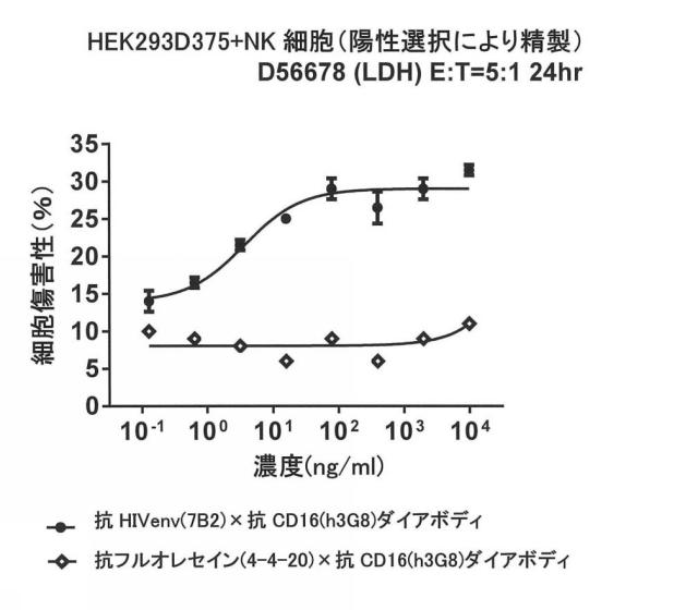 6979447-二重特異性ダイアボディ分子、薬学的組成物及びそれらの使用 図000036