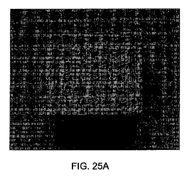5726536-多孔質生体適合性ポリマー材料および方法 図000037