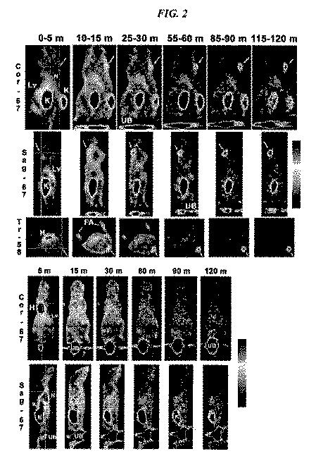 5789821-タンパク質、ペプチドおよび他の分子の改善されたＦ−１８標識化のための方法および組成物 図000037