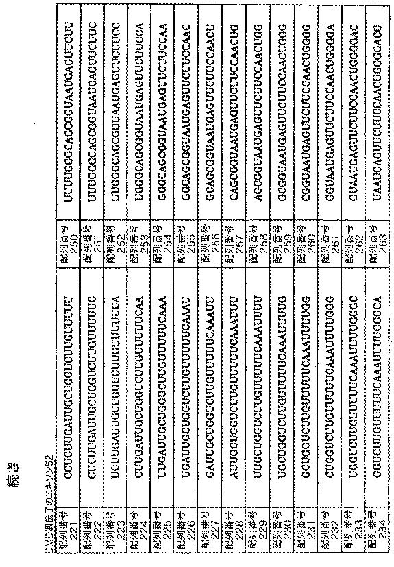 5879374-筋障害を相殺するための手段と方法 図000037