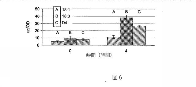 5934102-ＰＵＦＡ誘導体による酸化ストレス障害の緩和 図000037