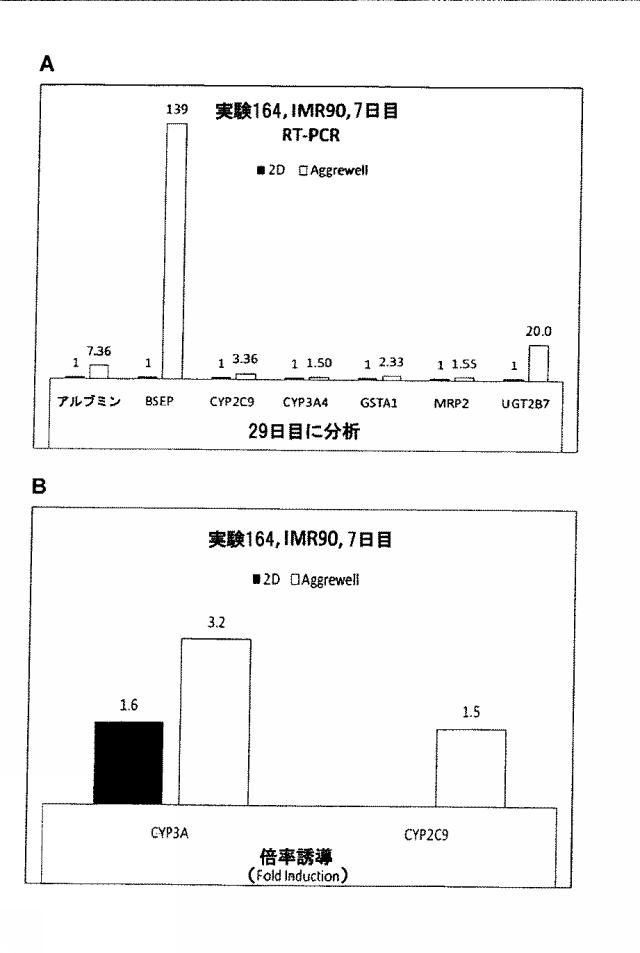 6025715-多能性幹細胞の肝細胞への分化を向上する三次元スキャホールド 図000037