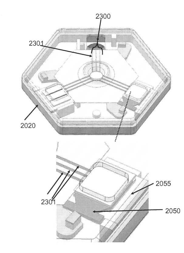 6190395-単一信号で複数被検体を検出する方法及び組成物 図000037