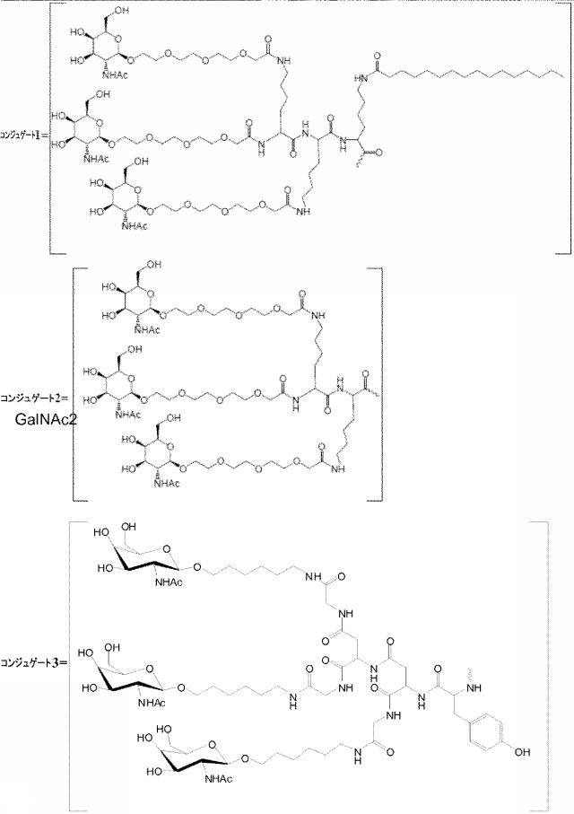 6255092-ＰＣＳＫ９を標的とするアンチセンスオリゴマーおよびコンジュゲート 図000037