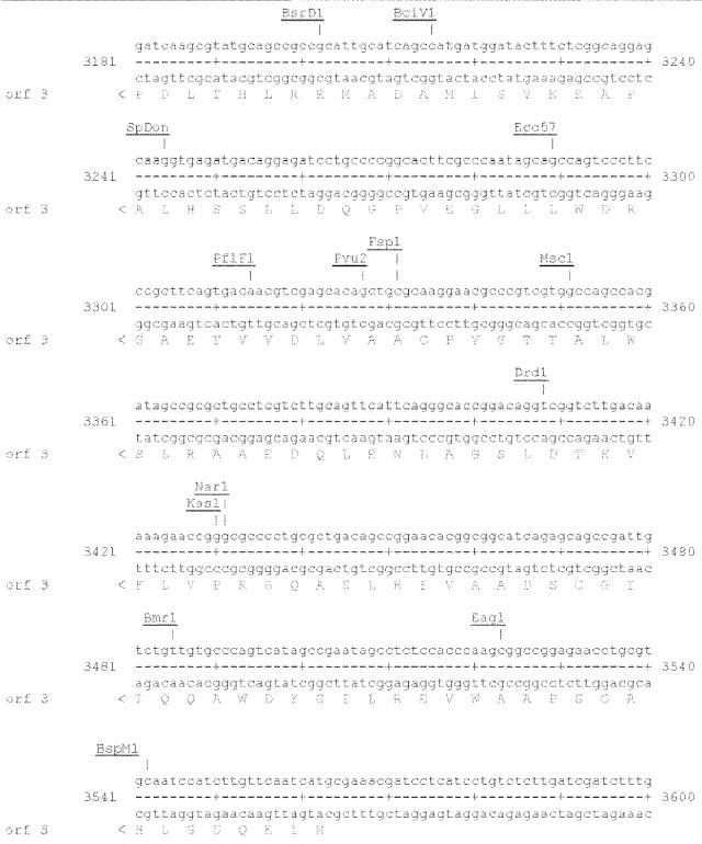 6259766-フラタキシンレベルを増加させる方法および生成物ならびにその使用 図000037