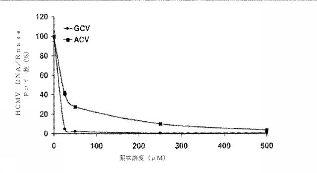 6335877-ウイルス感染を治療する方法および組成物 図000037