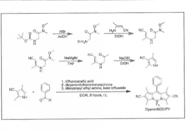 6339561-光起電力のためのジピリン系材料、極性媒体中で対称性破壊性分子内電荷移動が可能な化合物およびこれを含む有機光起電力デバイス 図000037