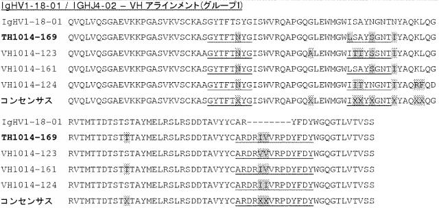 6341963-ＨＥＲ２に対するモノクローナル抗体 図000037