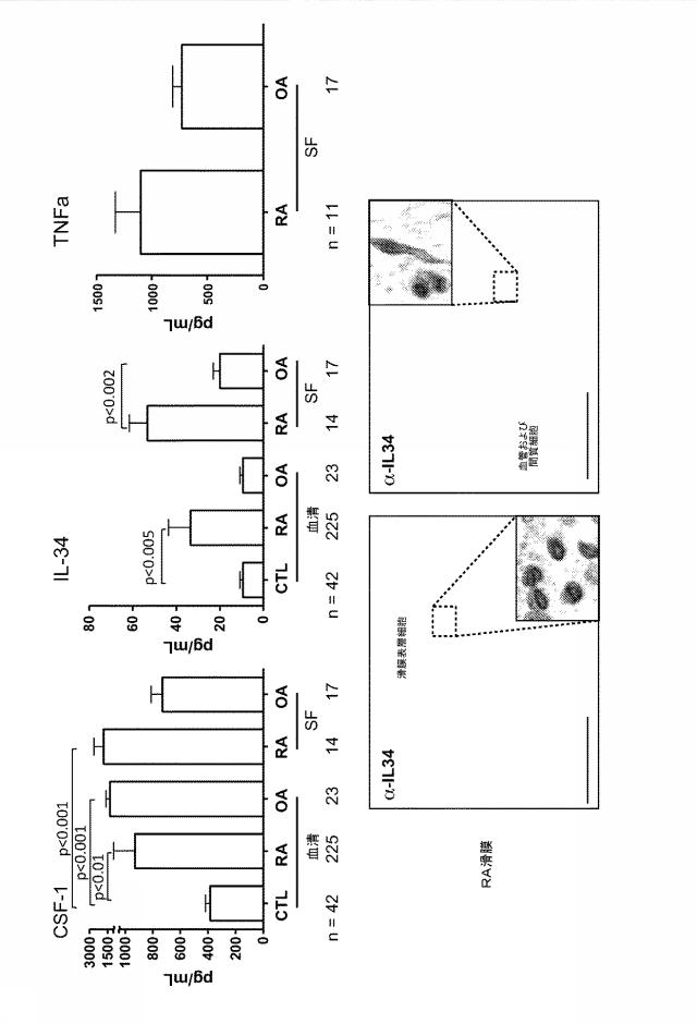 6416630-ＣＳＦ１Ｒ阻害剤を用いるための組成物及び方法 図000037