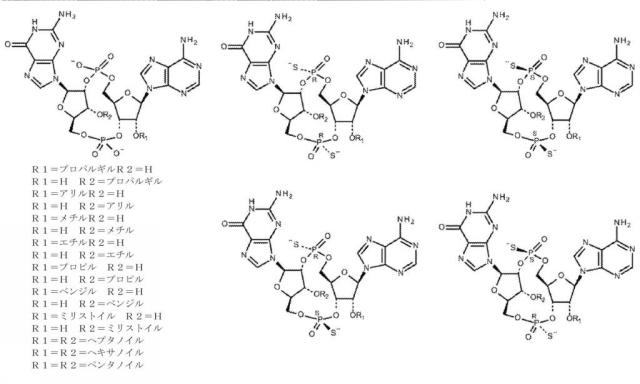 6453855-「インターフェロン遺伝子の刺激因子」依存性シグナル伝達を活性化するための組成物及び方法 図000037